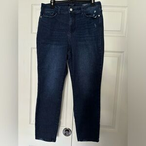 Women’s Judy Blue Ankle Stretch Jeans